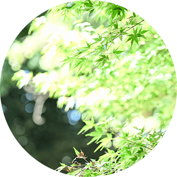 新緑